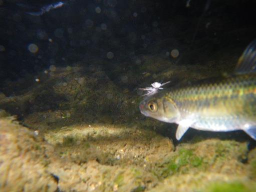 e0123808_23381322.jpg