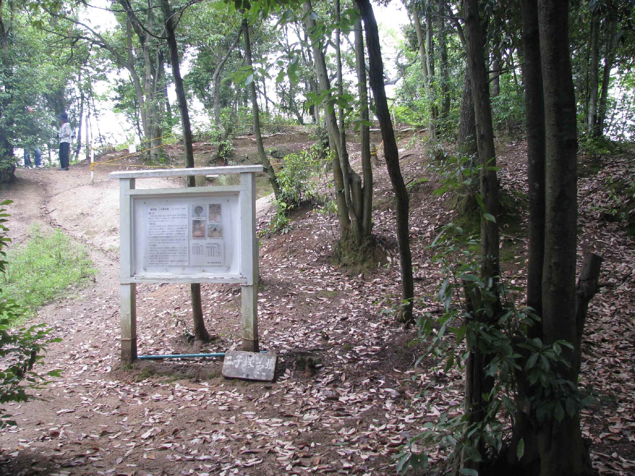 e0080110_218676.jpg