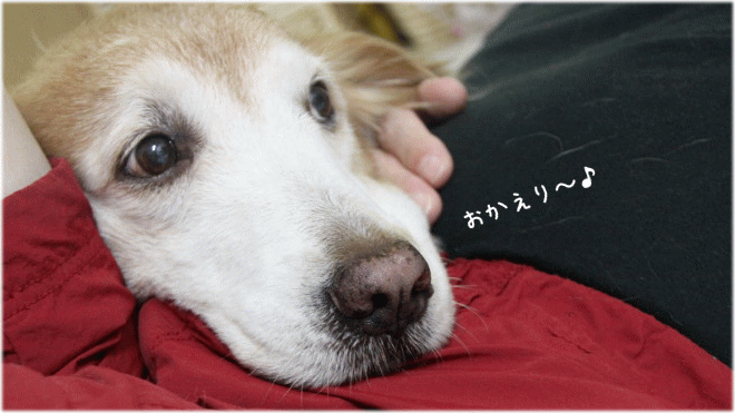c0017311_15514423.gif