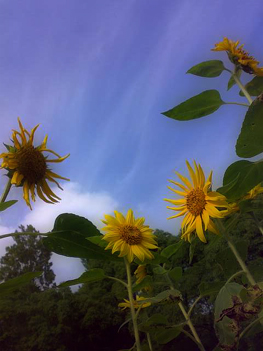 e0084214_2344191.jpg