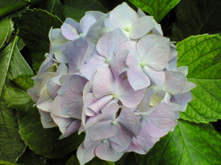 a0073915_10443732.jpg