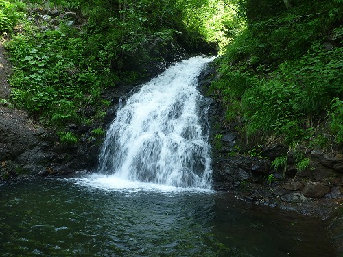 c0048117_11215313.jpg