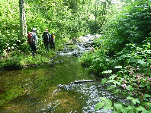 c0048117_1138265.jpg