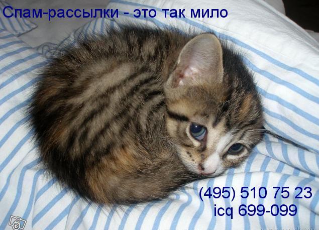 よりぬき ロシアからのおもしろ迷惑メール_b0054727_11301260.jpg