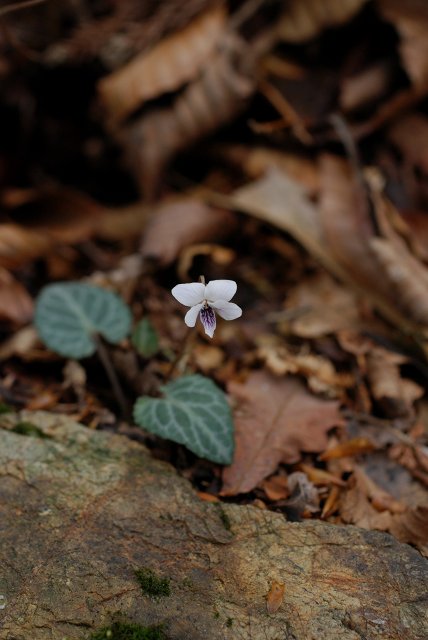 c0027027_21591471.jpg