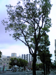 e0119327_10401770.jpg