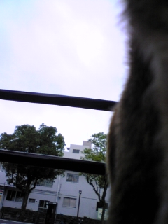 e0119327_10411260.jpg