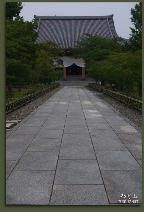 －智積院－ 梅雨の頃 【前】_e0150228_23231559.jpg