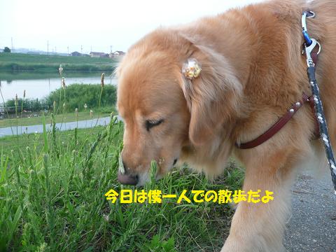 f0114128_1955569.jpg