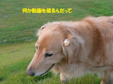 f0114128_1958771.jpg