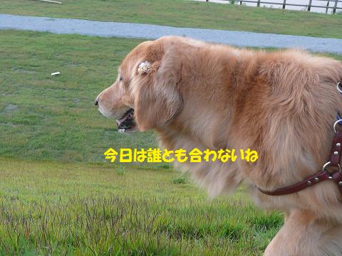 f0114128_2002648.jpg