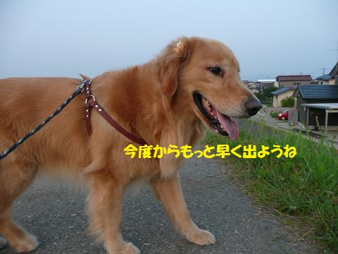 f0114128_20231828.jpg
