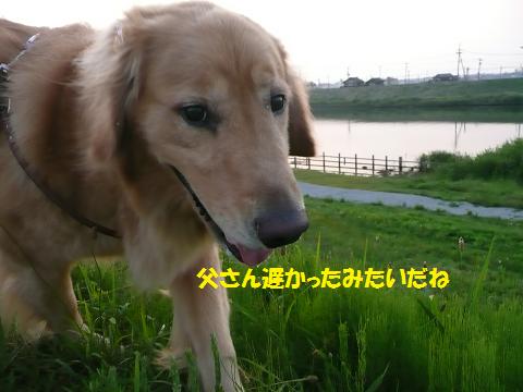 f0114128_2025581.jpg