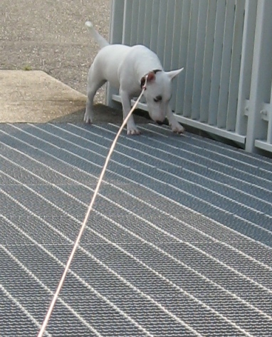 c0192330_91643.jpg