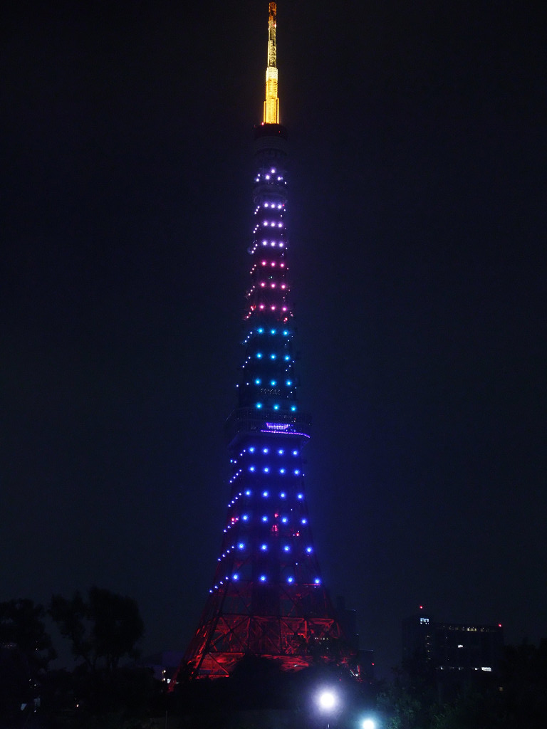 Tokyo タワー (コンデジ編)　【コメント書き込み不可】_f0109432_0231977.jpg