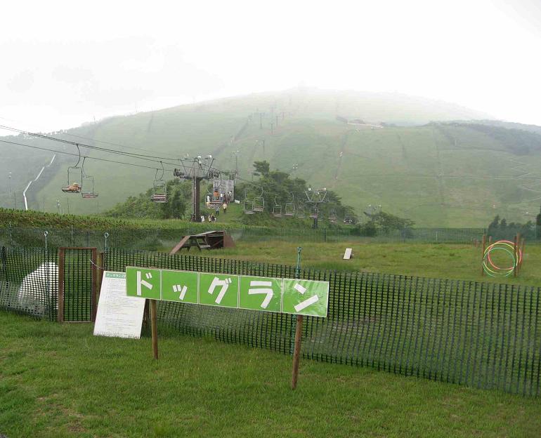 びわ湖バレイのドッグランだよ~_b0177436_2339465.jpg