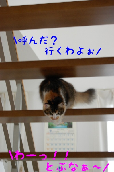c0181639_1118437.jpg