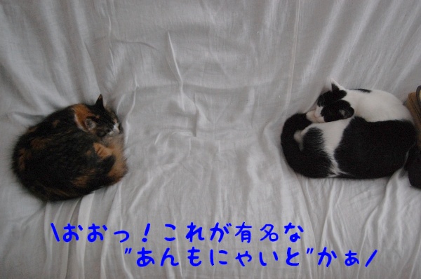 c0181639_11215090.jpg