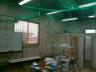 a0058941_19512310.jpg