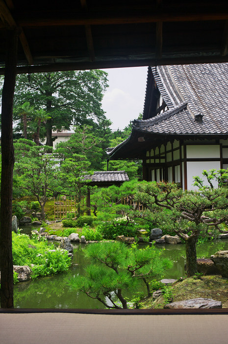 半夏生咲く庭 その2(建仁寺・両足院)_f0155048_0305337.jpg