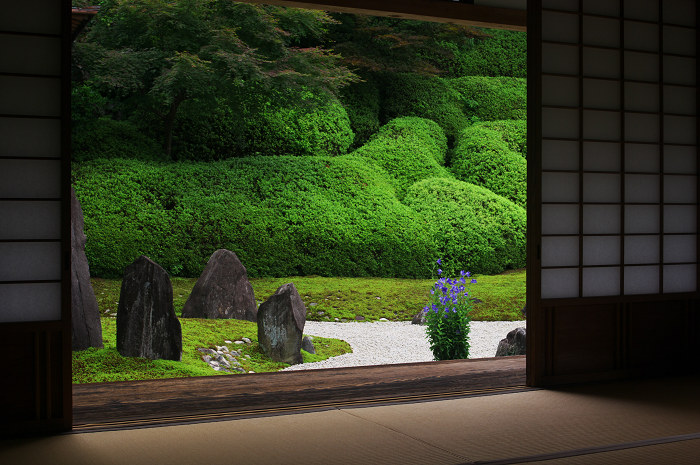 静寂の庭(東福寺塔頭)_f0155048_2304861.jpg