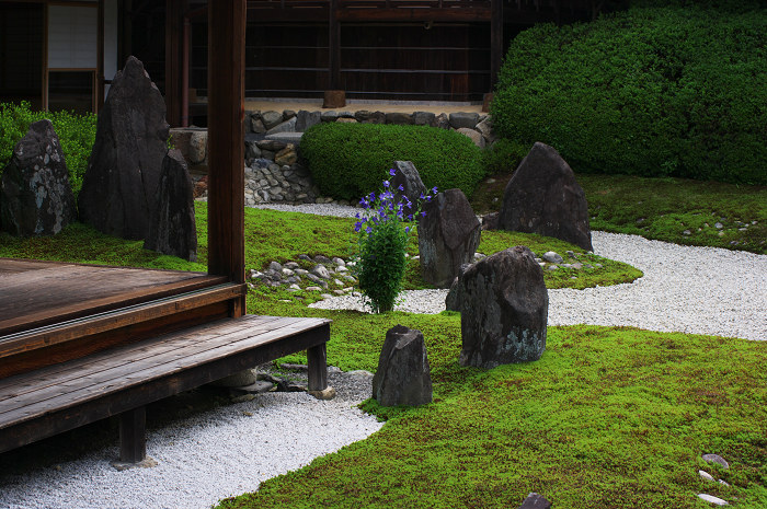 静寂の庭(東福寺塔頭)_f0155048_23164965.jpg