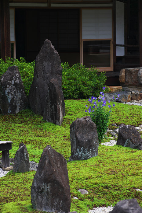 静寂の庭(東福寺塔頭)_f0155048_23184238.jpg