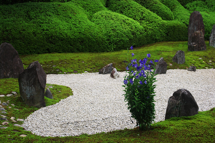 静寂の庭(東福寺塔頭)_f0155048_23225535.jpg