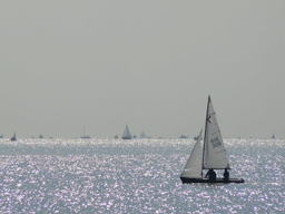 b0046050_14492132.gif