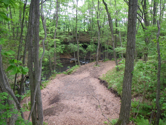 f0046250_23421262.jpg