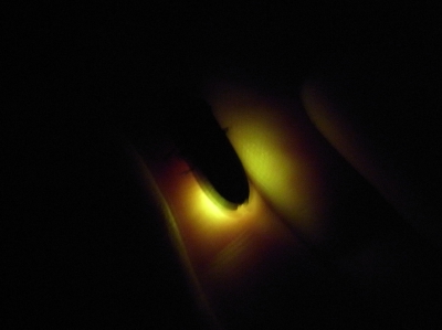 a0134952_12594157.jpg