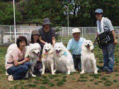 明るい犬飼の会　再会オフ６_d0144253_0233163.jpg