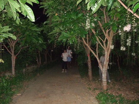 c0111557_1949182.jpg