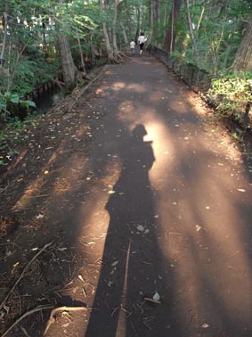b0135360_18575351.jpg