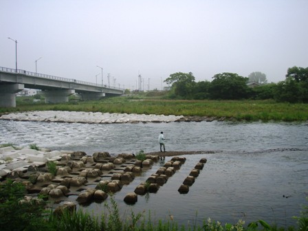 a0044162_746475.jpg