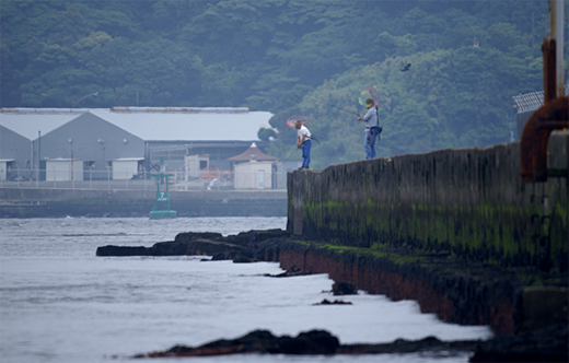 Yokosuka軍港めぐり 吾妻島 釣りたーいむ ふりかけ日日日報 11 3 11より今に至り 再生 へ