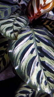 a0125667_956341.jpg