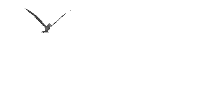 2009年7月2日_c0122967_1720222.gif