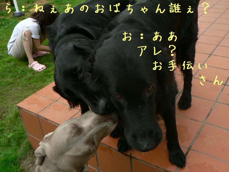 f0065568_20394058.jpg