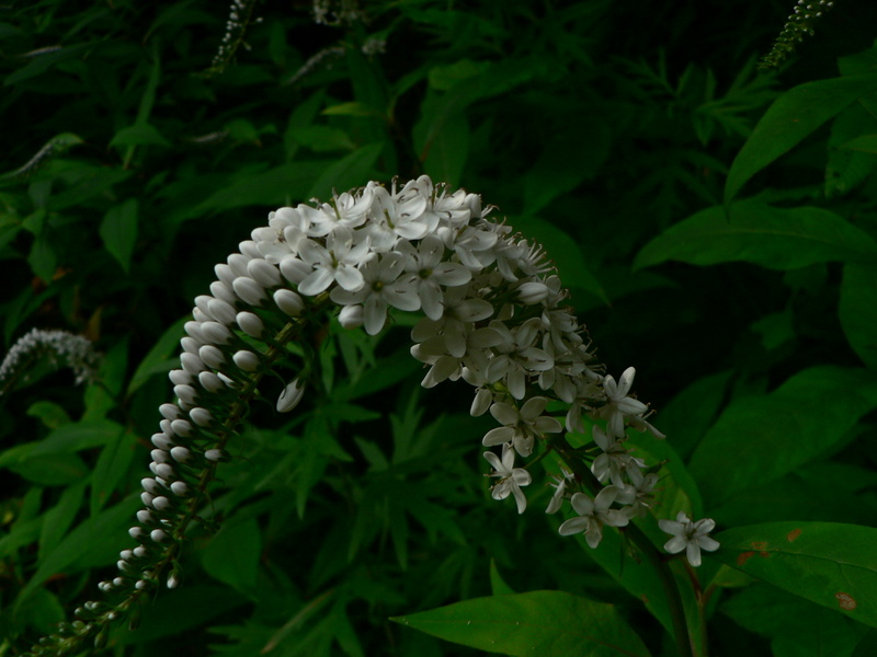 f0065568_2041534.jpg