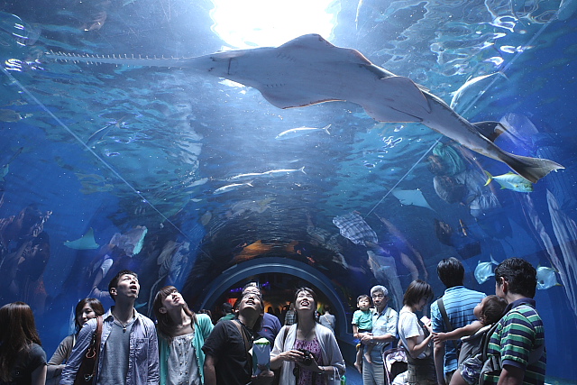 水族館_e0117969_9295932.jpg