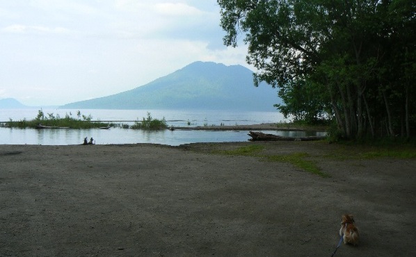 b0068572_21195274.jpg