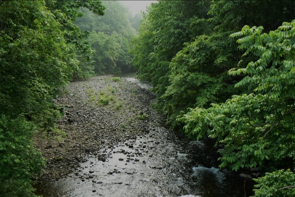 b0068572_21223772.jpg