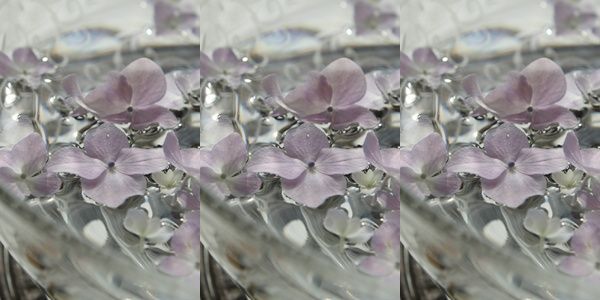 c0167576_741087.jpg