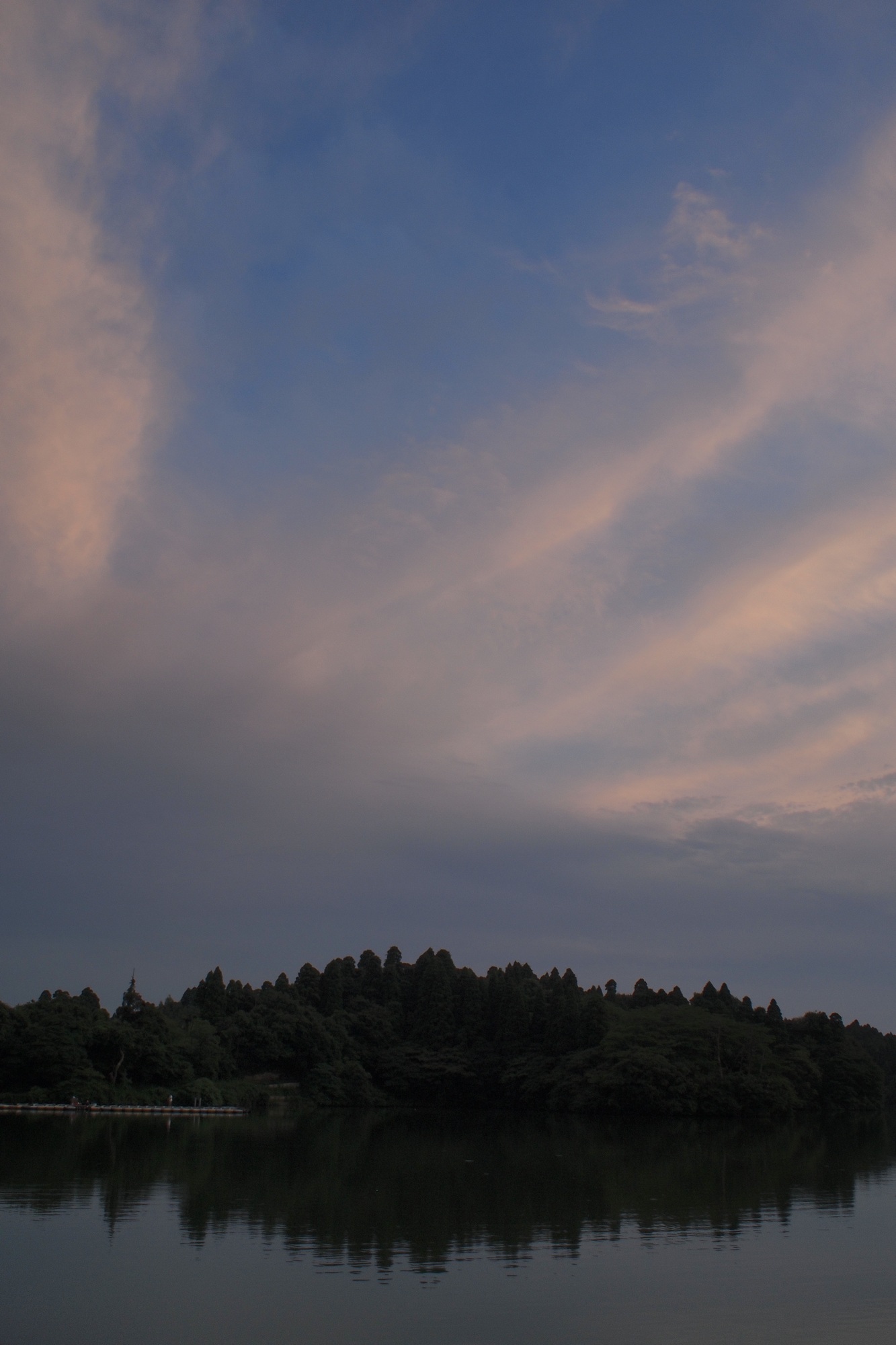 e0071178_2085956.jpg