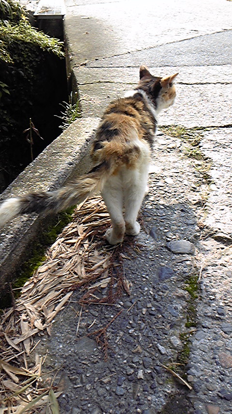 a0095980_6425169.jpg