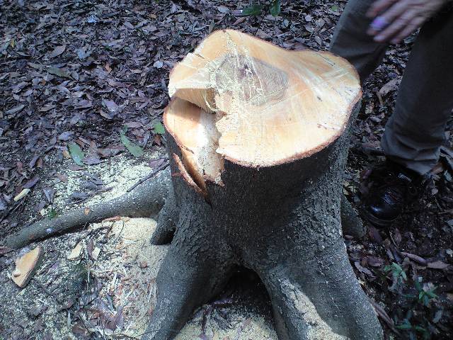 f0186382_23451010.jpg