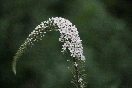 d0133693_84921100.jpg