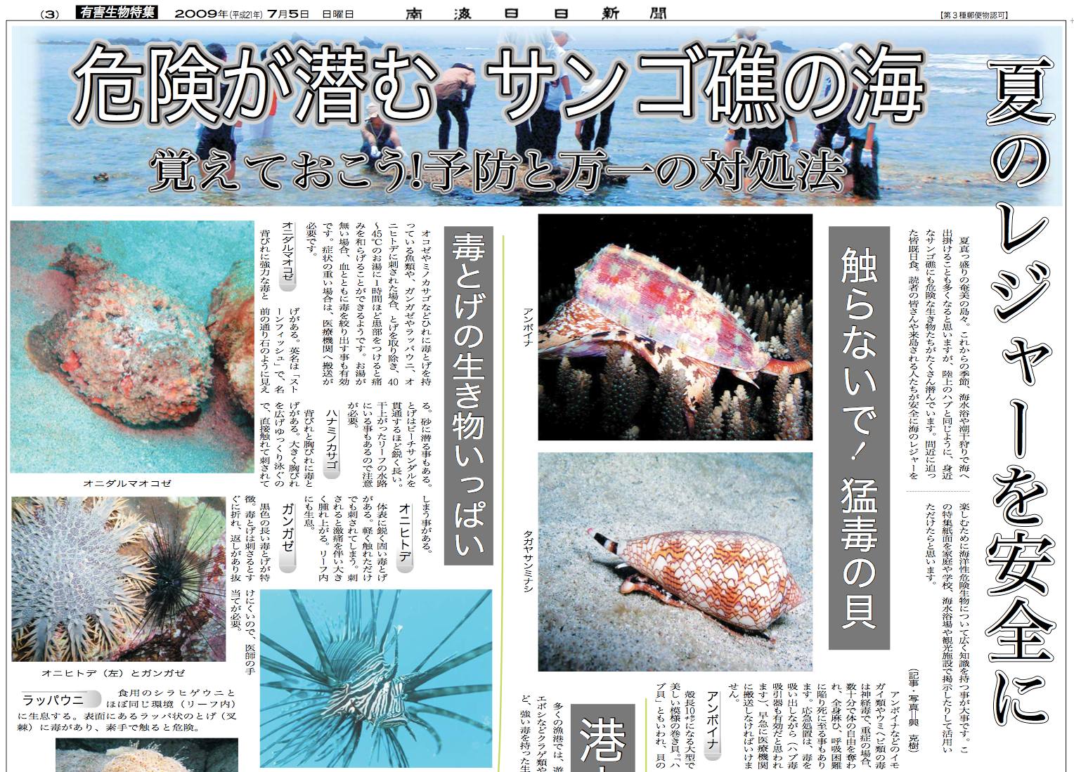 7 5 危険が潜む サンゴ礁の海 奄美大島 撮影日記