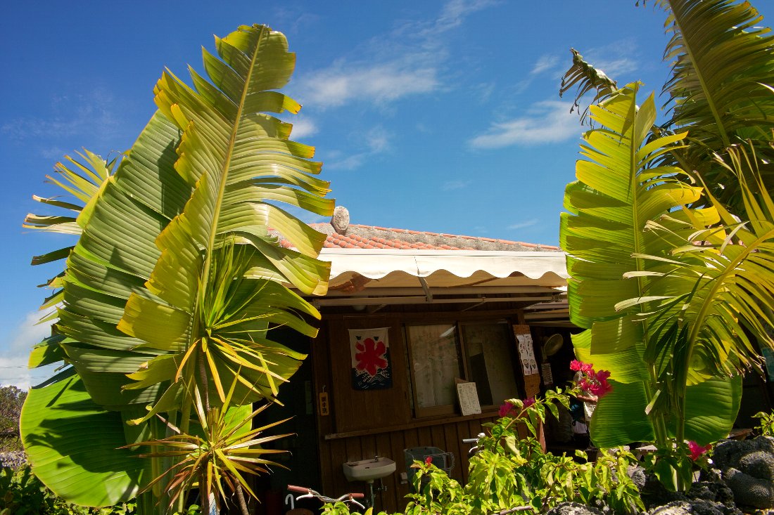 c0124795_11523632.jpg